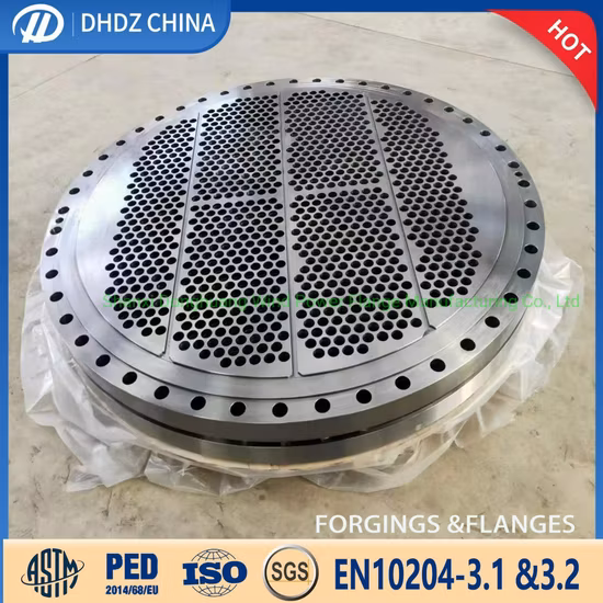 Tube Sheet Tube Plate Sheet Tubes Hub Tube Sheet Forging for Heat Exchanger Pressure Vessel